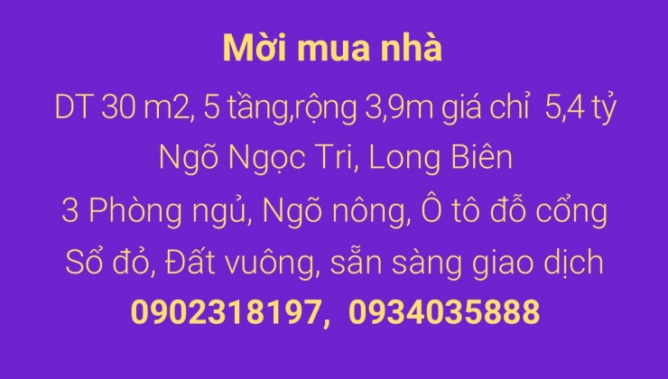 Không mua ngôi nhà này, bạn sẽ hối tiếc mãi mãi